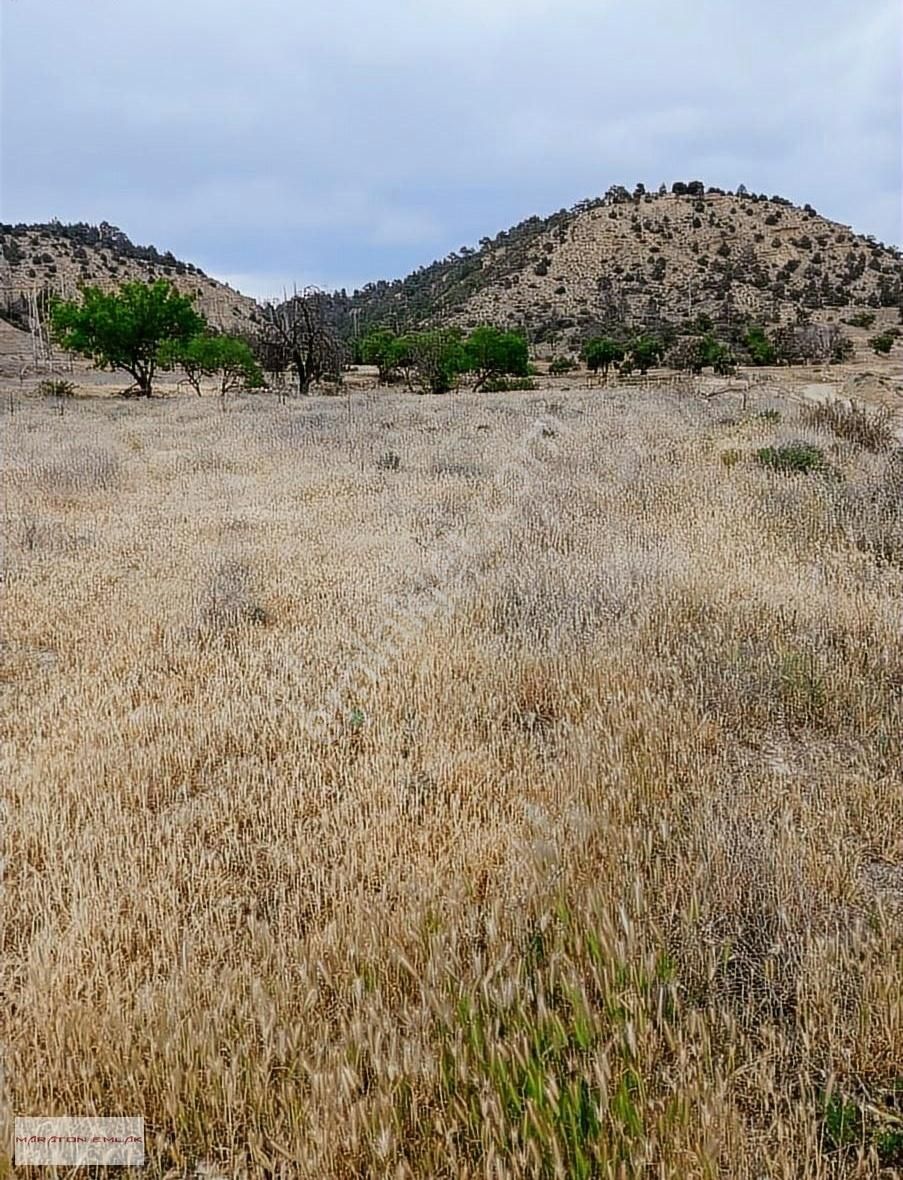 Kemer Kayı Köyü (Çay Kenarı) Satılık Bağ & Bahçe Kemer Kayı Köyünde 7500m2 Suyu Yolu Elektiriği Mevcut