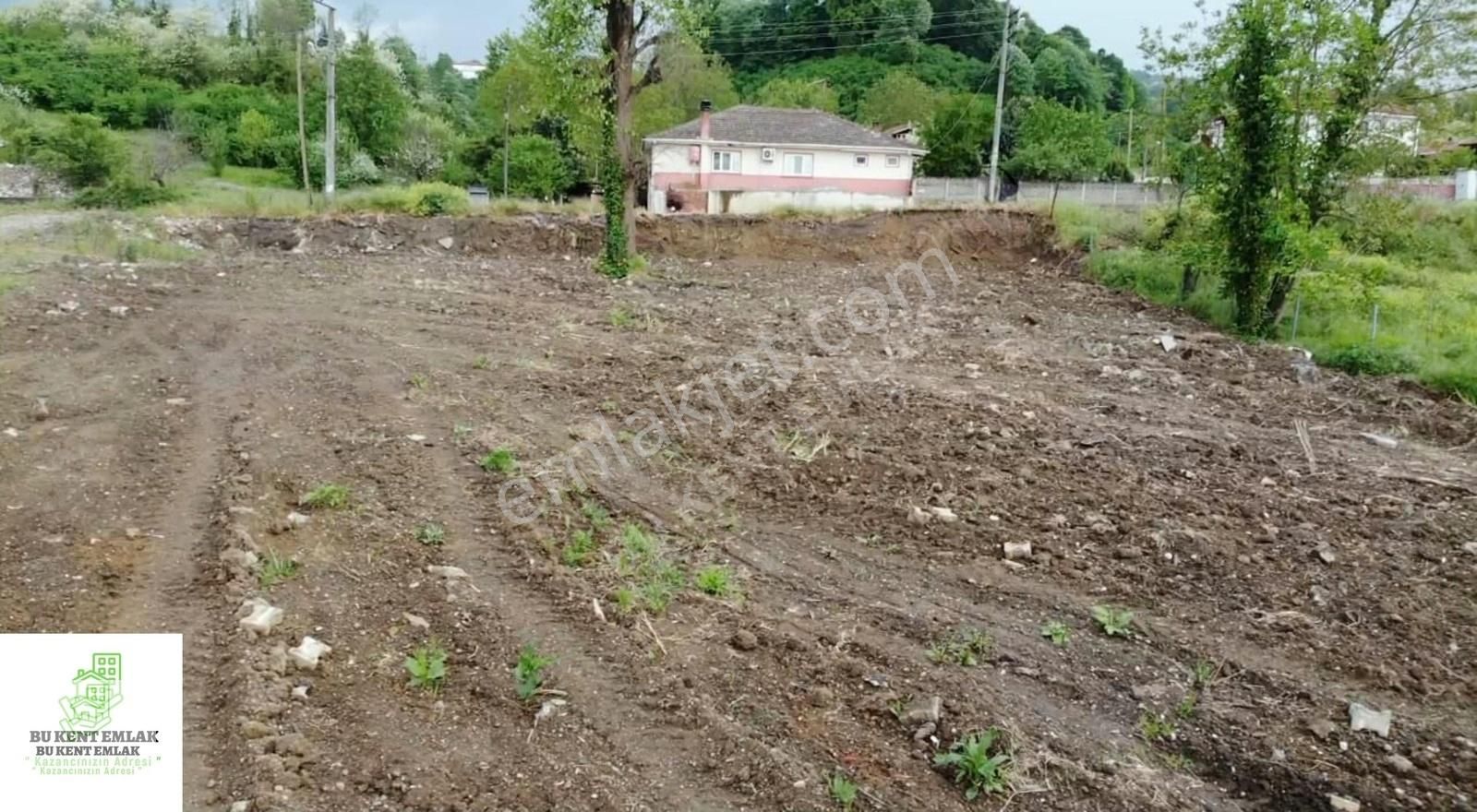 Erenler Tuapsalar Satılık Konut İmarlı Çaybaşı Yeniköyde Resmi Yola Çift Cepheli İmarlı Köşe Parsel