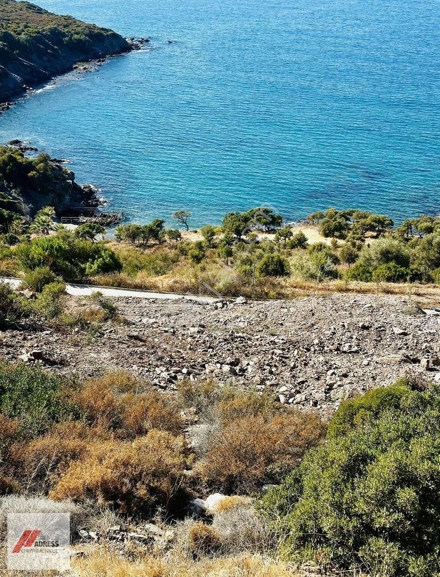 Bodrum Adabükünde Denizin En Ön Sırasında Satılık Arsa - Görsel 8