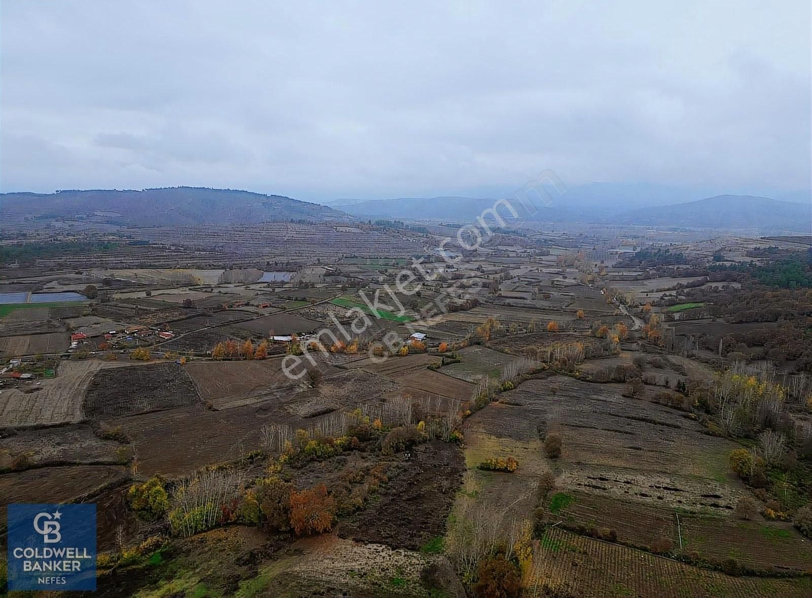 Yenice Karabey Köyü Satılık Tarla Çanakkale Yenice Karabey Köyünde 1903 M² Satılık Tarla !