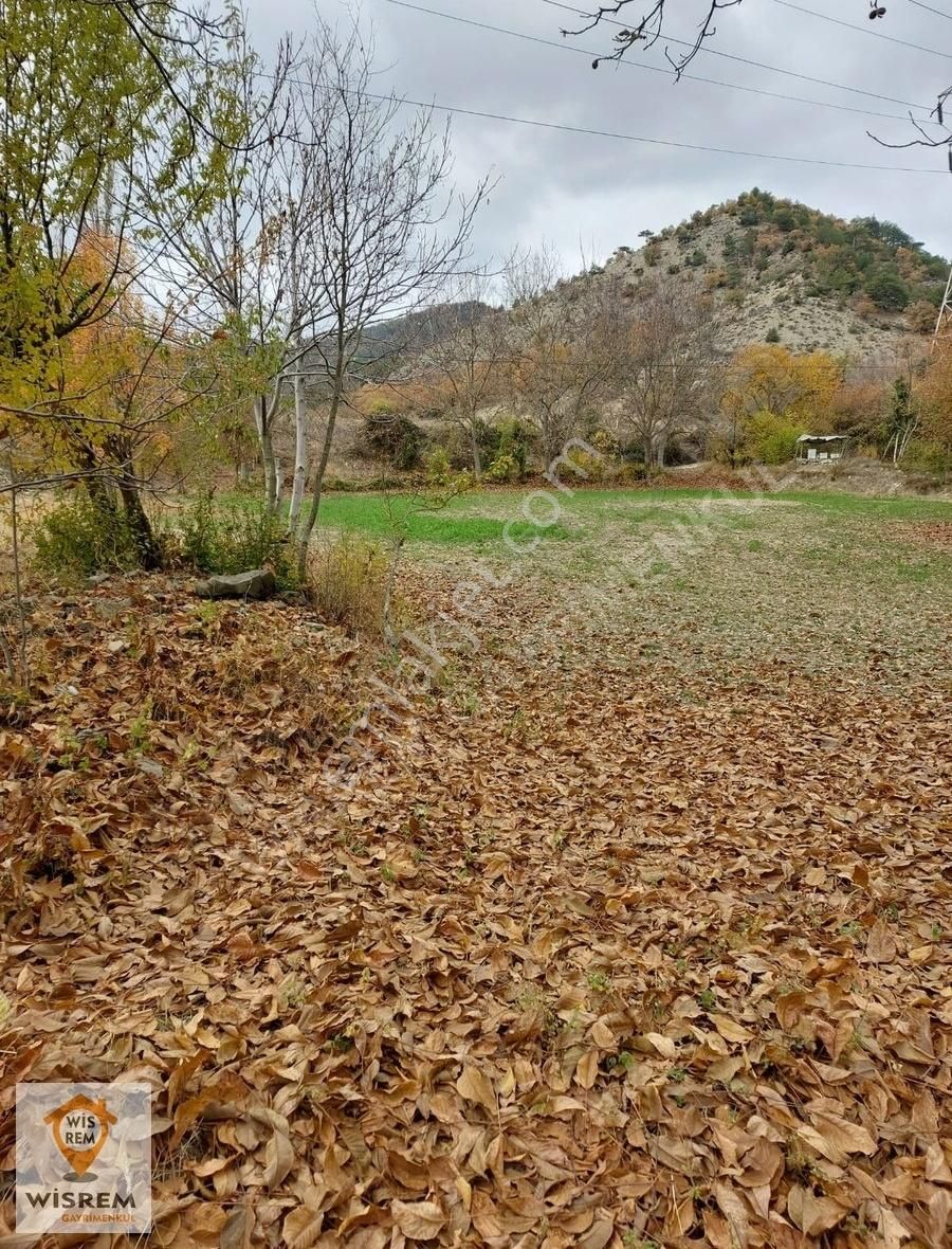 Mudurnu Taşçılar Köyü Satılık Bağ & Bahçe Wisrem Mudurnu Da Satılık Ahşap Kümes Ve 2950 M. Bahçesi