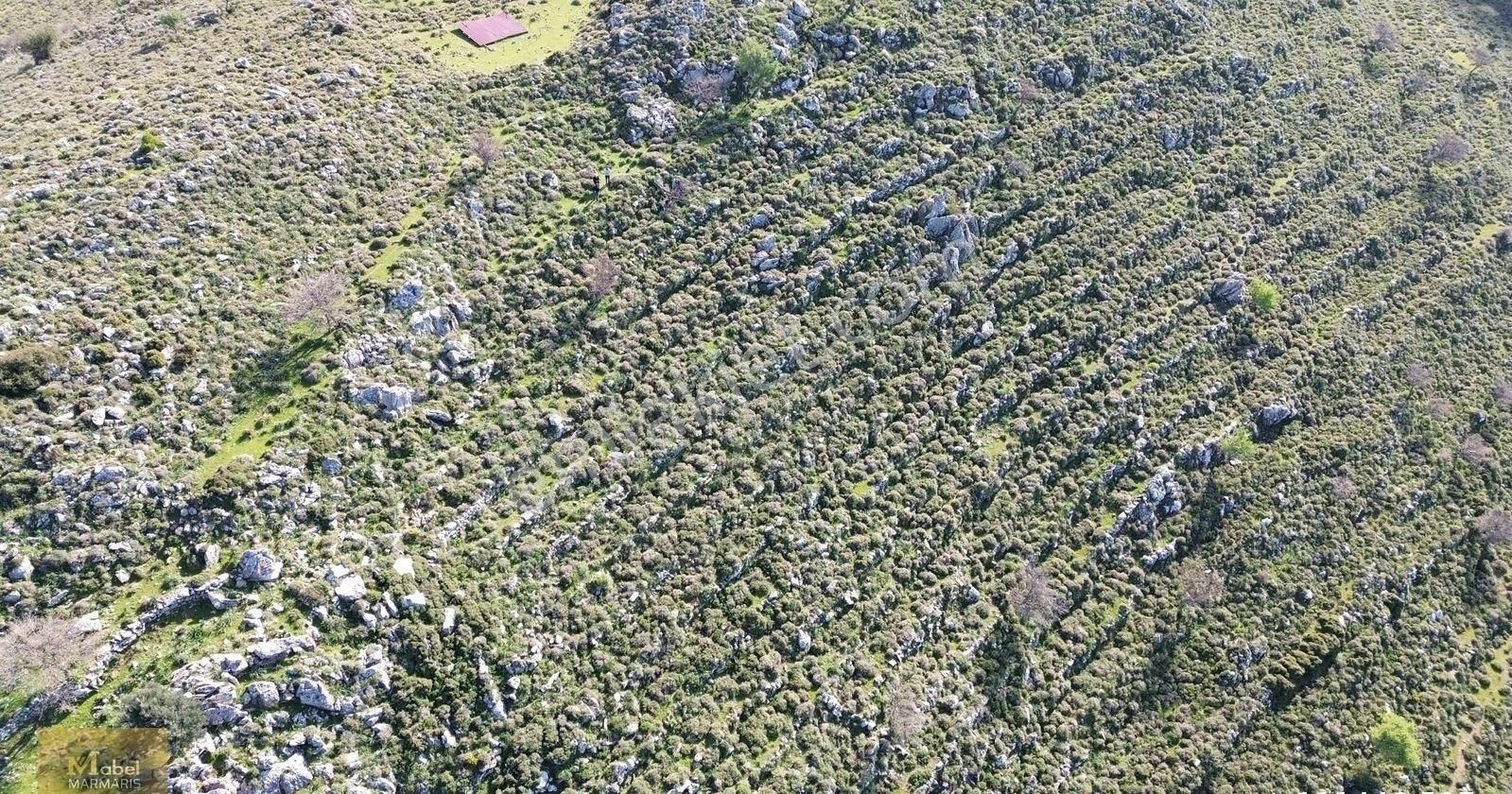 Mabelden Marmaris Selimiyede Şerefiyeli 16 Dönüm Satılık Arazi - Görsel 5