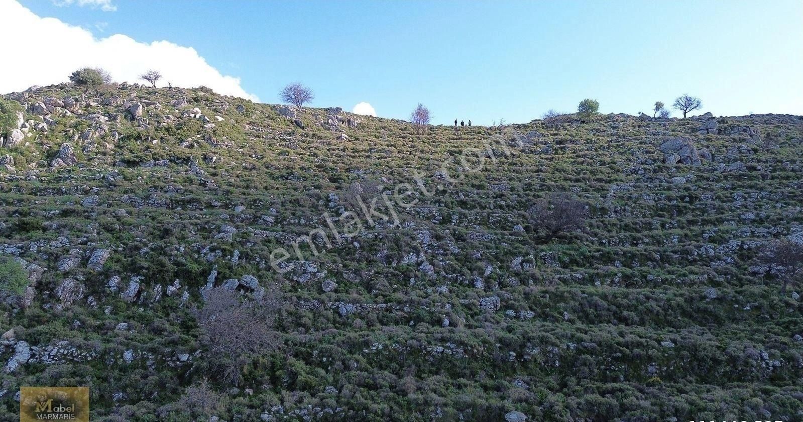 Mabelden Marmaris Selimiyede Şerefiyeli 16 Dönüm Satılık Arazi - Görsel 6