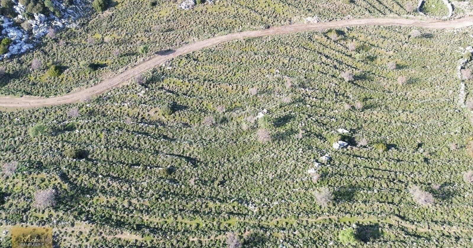 Mabelden Marmaris Selimiyede Şerefiyeli 16 Dönüm Satılık Arazi - Görsel 3