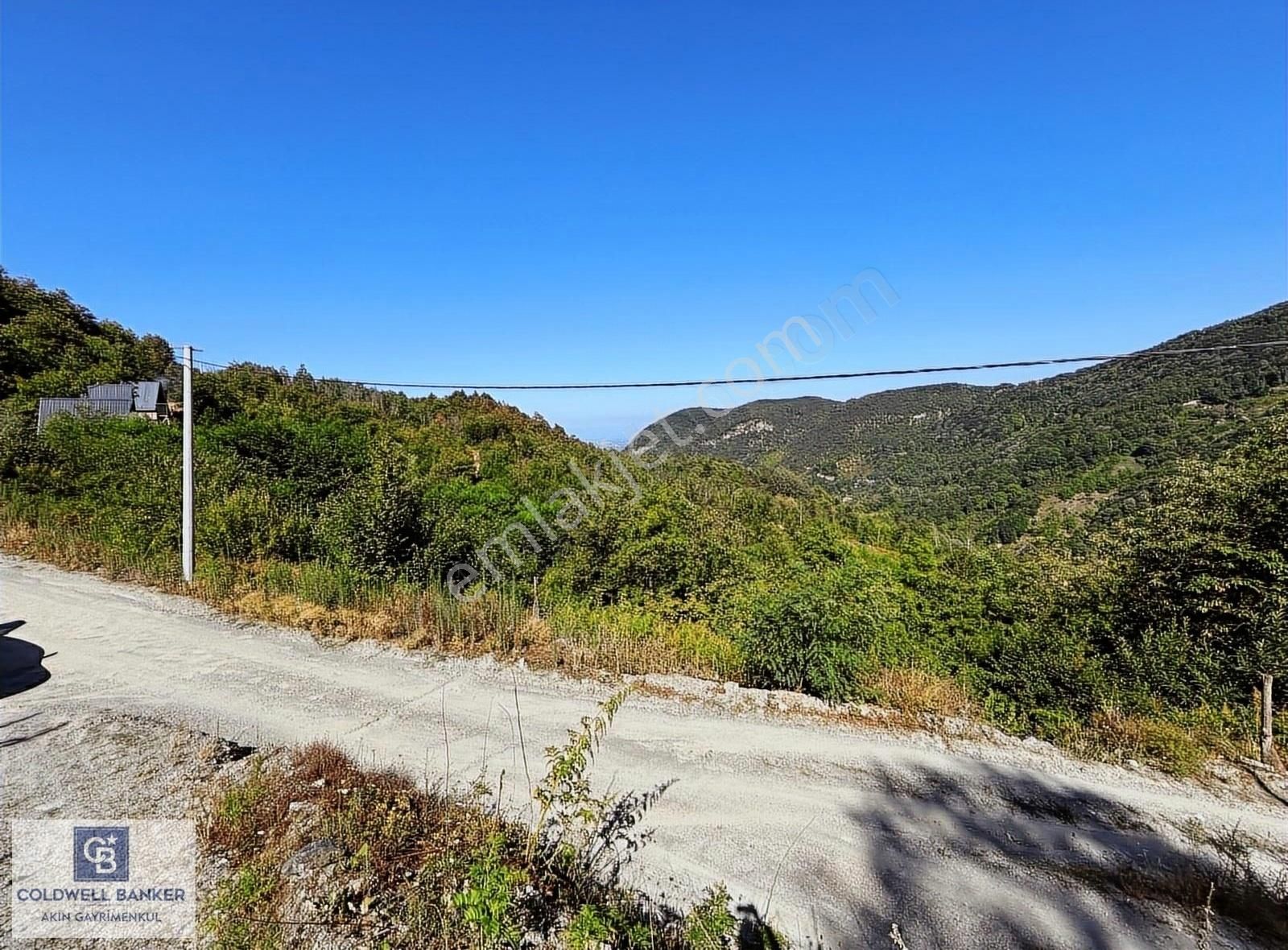 Sapanca Şükriye Satılık Tarla Sapanca Şükriye Köyü'nde Doğanın İçinde 2383m2 Satılık Arsa