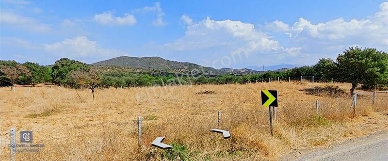 Burhaniye Pelitköy Satılık Ticari İmarlı Burhaniye Pelitköy' De Oksijen Ve Huzur Dolu 404 M2 Arsa