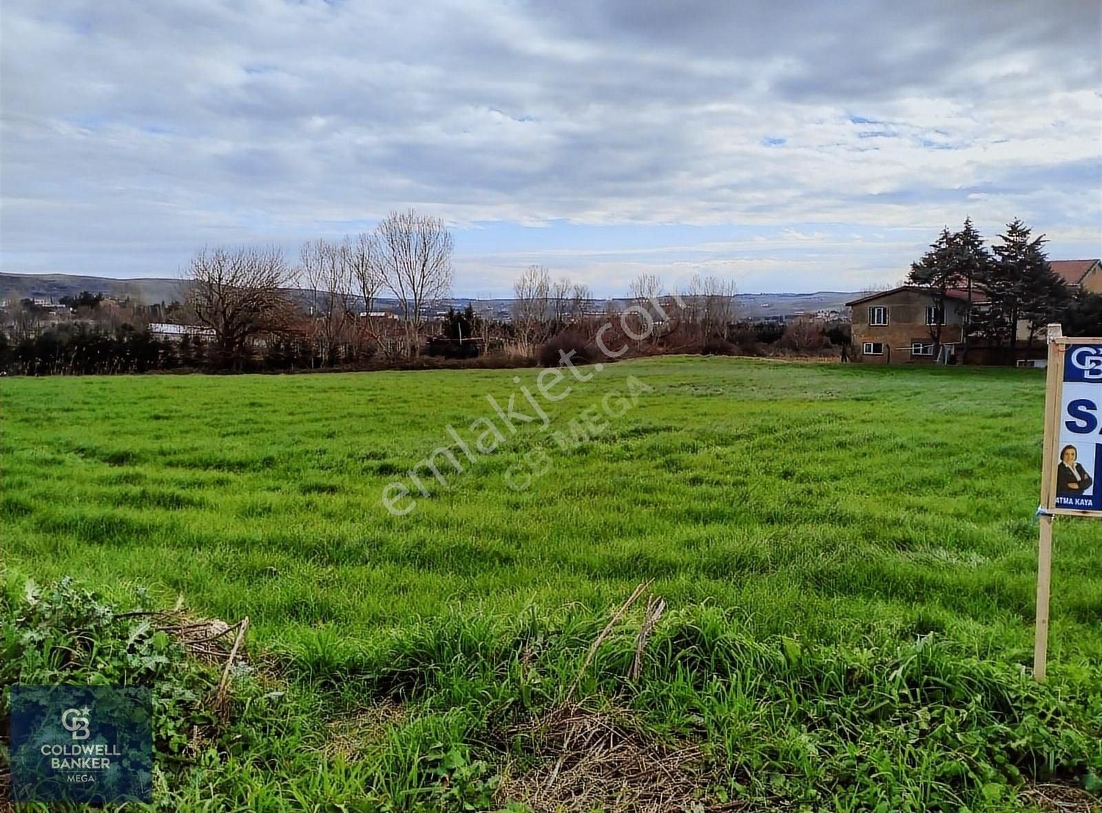 Çatalca Çakıl Satılık Tarla Çakıl Da Tek Tapu Villalar Bölgesinde 6010 M2 Arsa