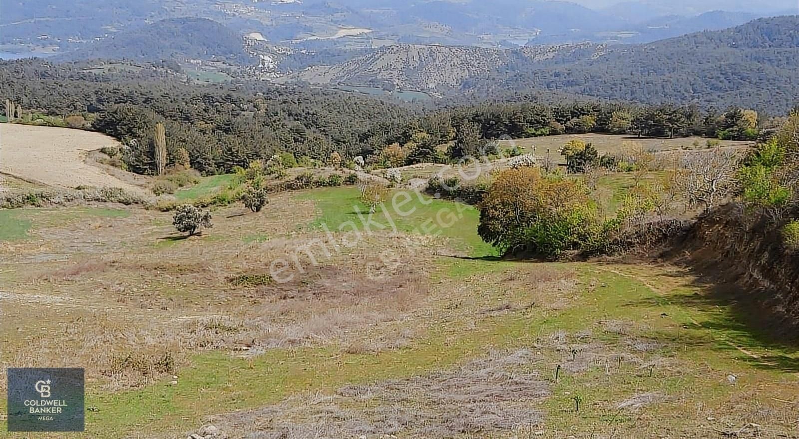 Çanakkale Merkez Ulupınar Köyü Satılık Tarla Çanakkale Ulupınar Köyünde 440 M2 Kooperatif Hissesi