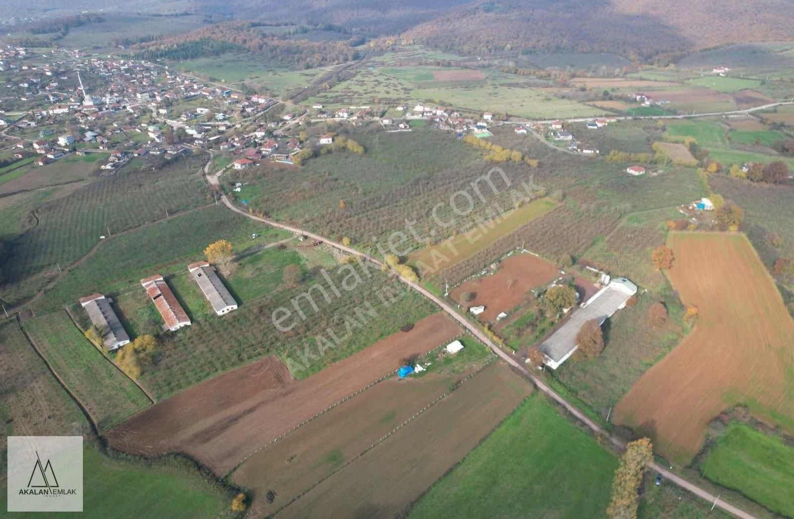 Söğütlü Yeniköy'de Asfalta Cepheli 3.300 M2 Güzel Konumda Bahçe - Görsel 21