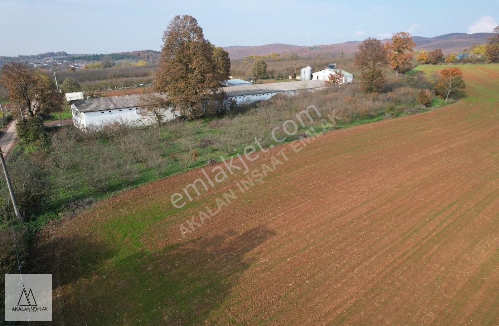 Söğütlü Yeniköy'de Asfalta Cepheli 3.300 M2 Güzel Konumda Bahçe - Görsel 6