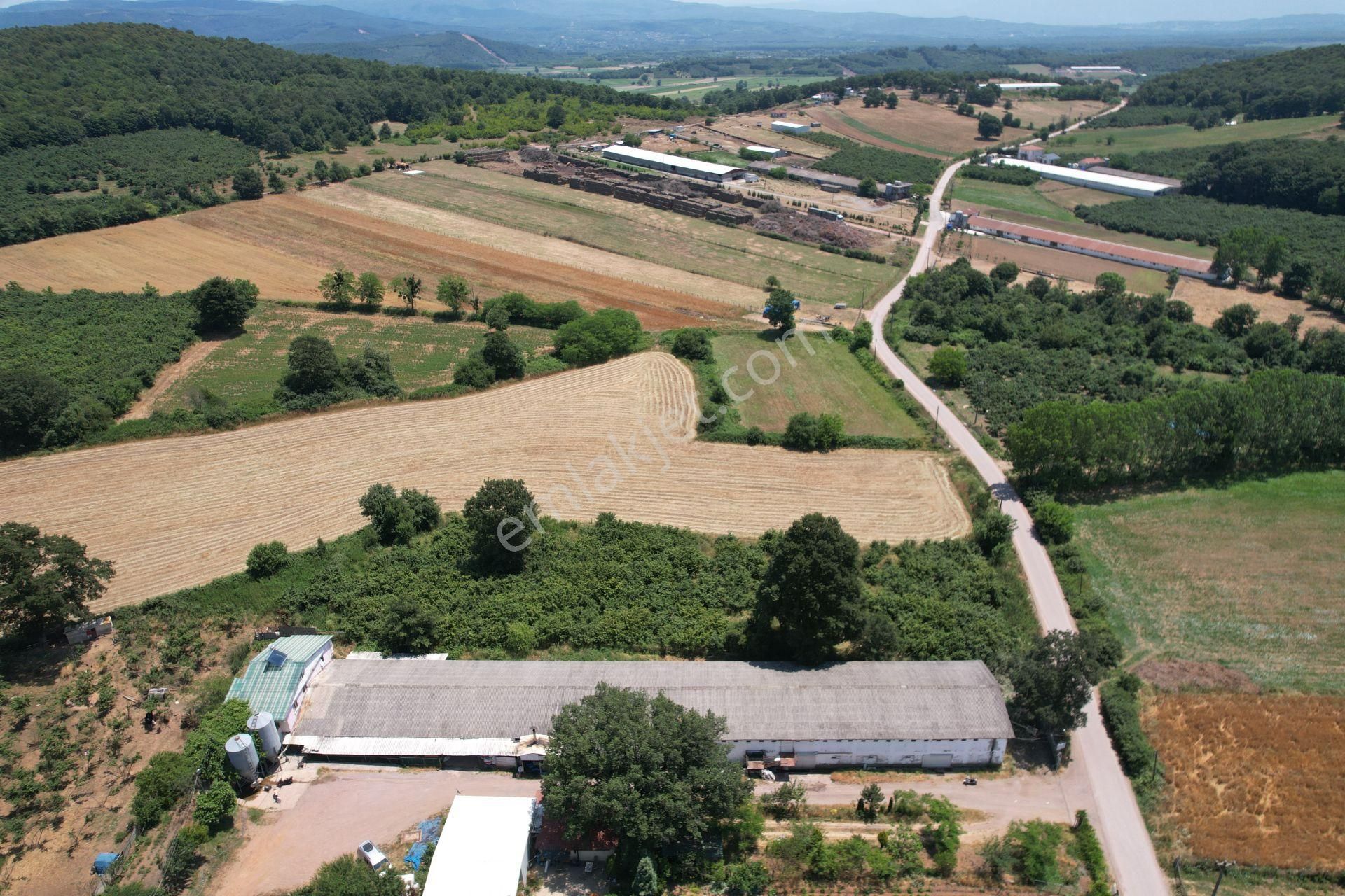 Söğütlü Yeniköy'de Asfalta Cepheli 3.300 M2 Güzel Konumda Bahçe - Görsel 13