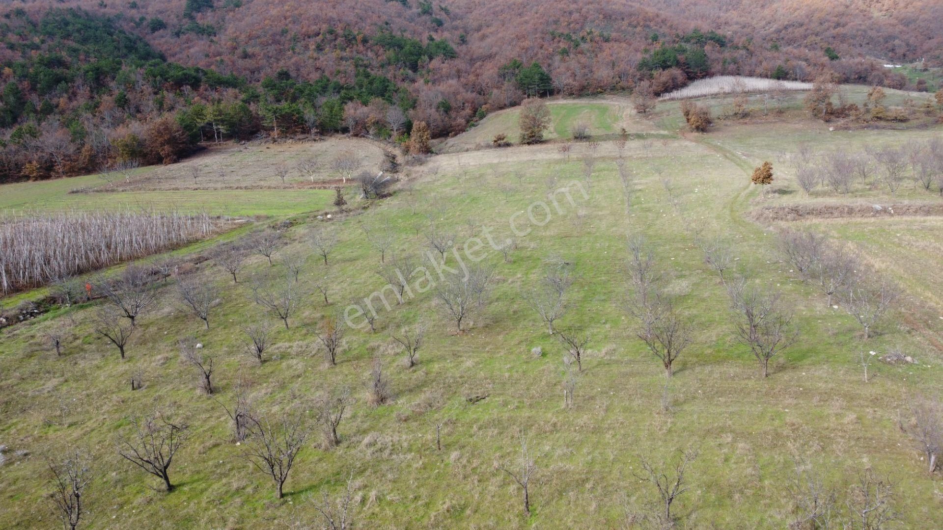 Osmaneli Oğulpaşa Köyü (Merkez) Satılık Tarla Oğulpaşa Şenlik Alanında 7 Dönüm Manzaralı Araç Takaslı Arazi