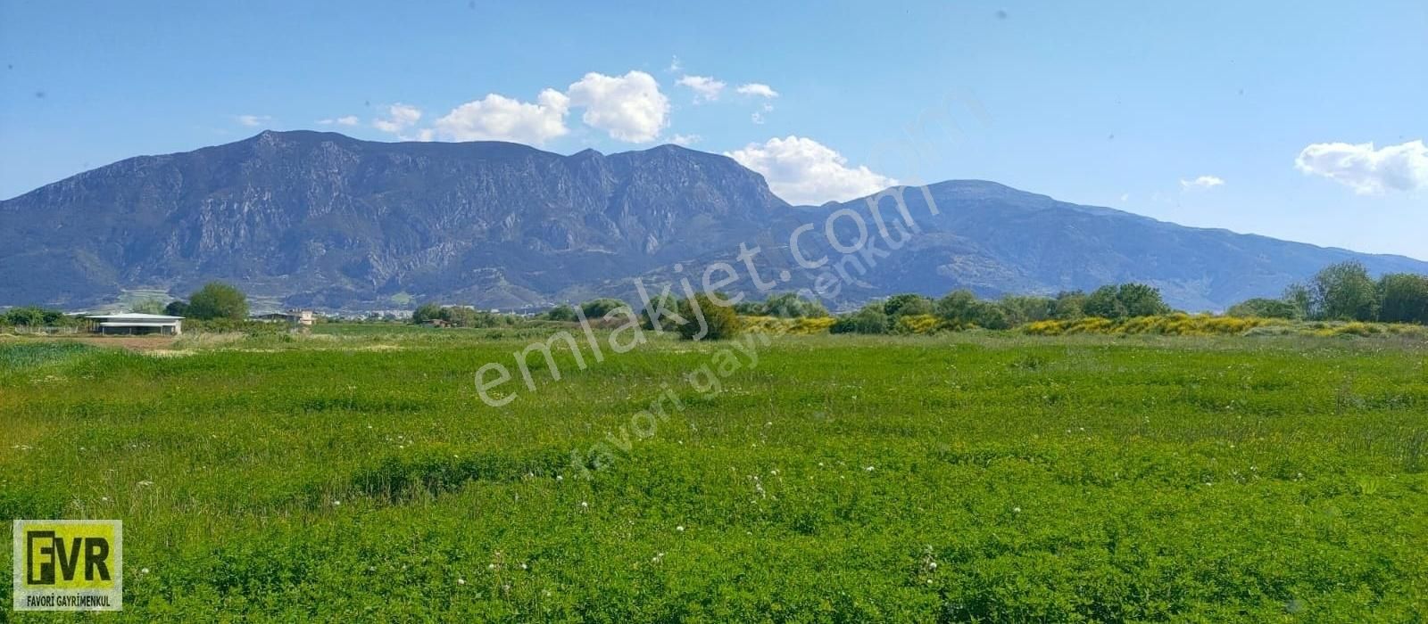 Şehzadeler Yeniharmandalı Satılık Tarla Manisa Şehzadeler Yeni Harmandalı 3900m2 Gedize Sıfır Elktrik Su