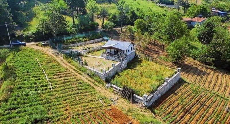 Osmangazi Yiğitali Satılık Bağ & Bahçe Mercii Ofisden Yiğitali Köyünde Muhteşem Manzaralı Hobi Bahçesi