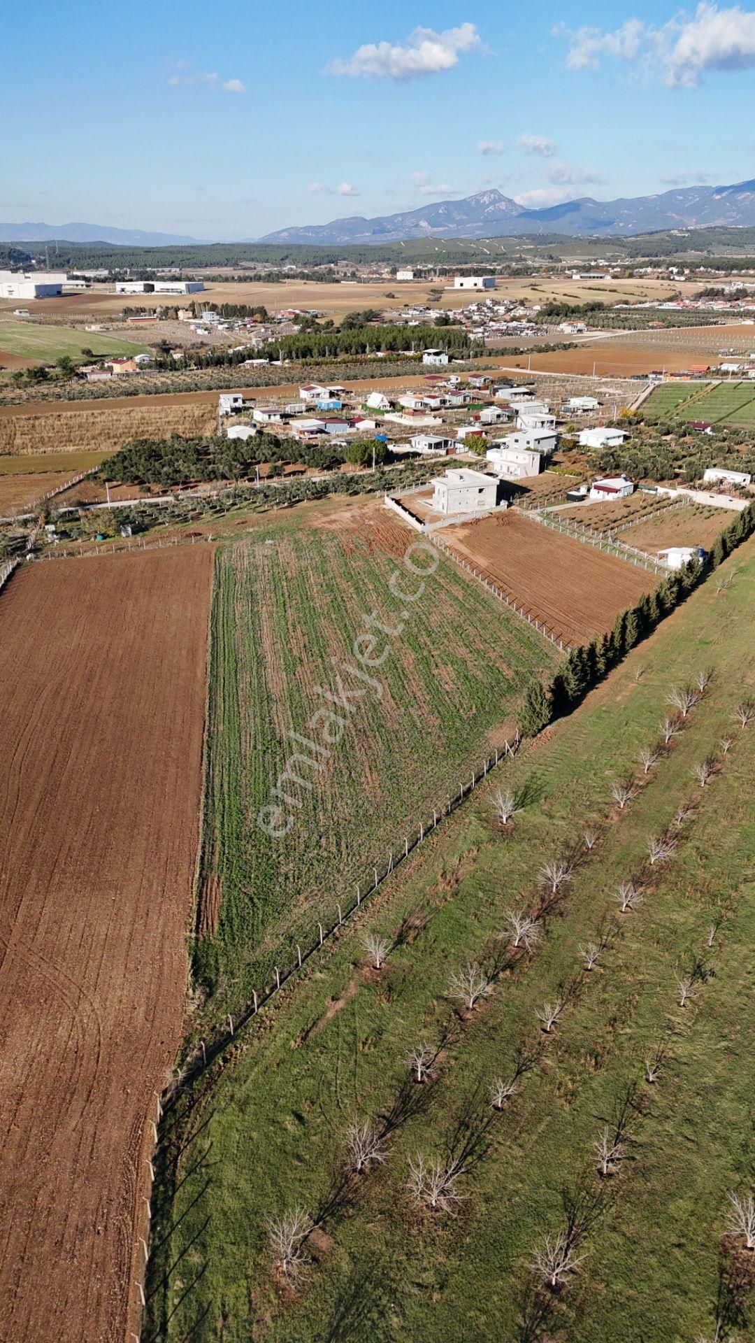 Menderes Oğlananası Atatürk Satılık Tarla Oğlananası Depolama Alanı Nato Arkasında Satılık 8.720 M2 Arazi