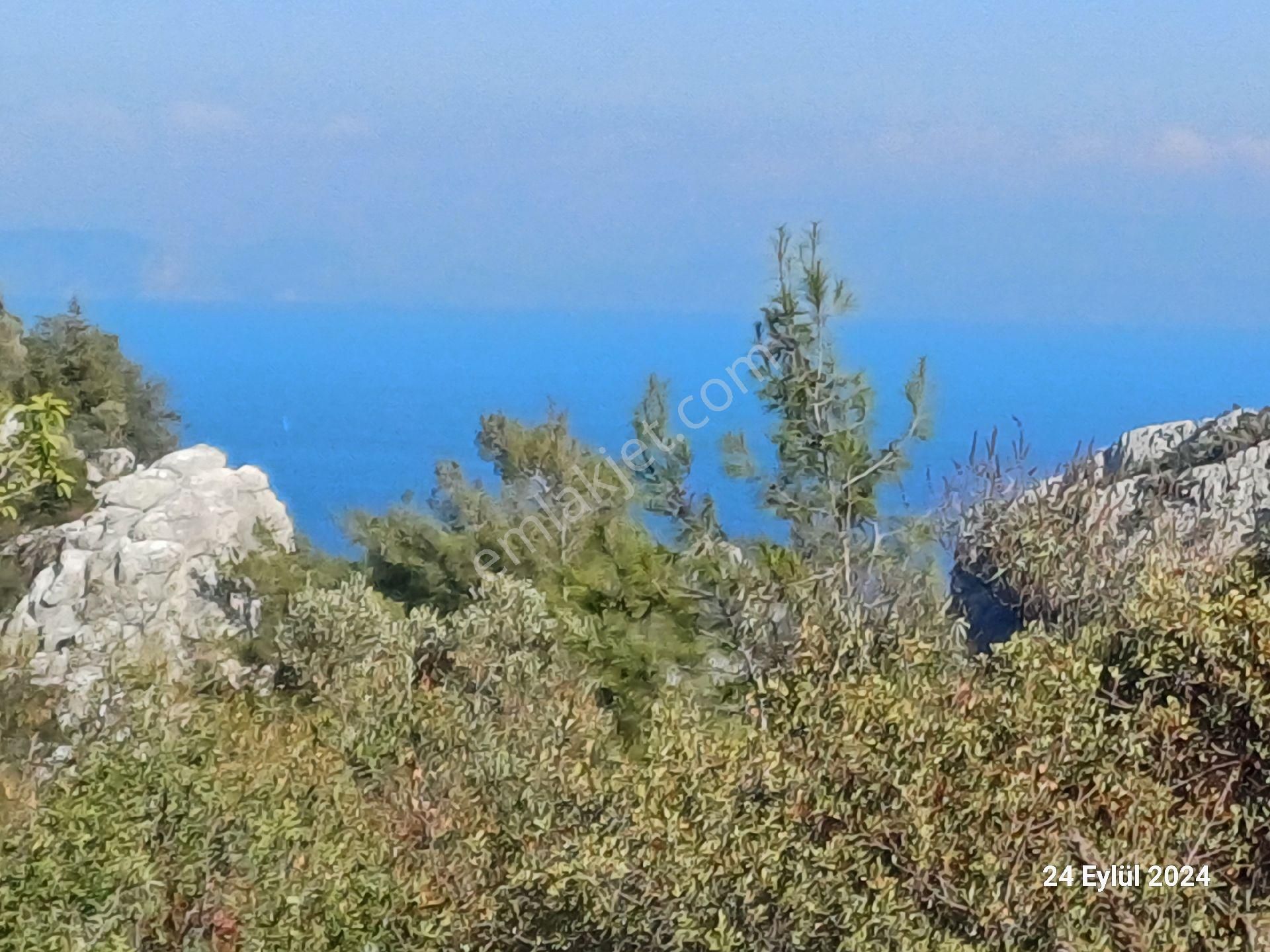 Marmaris Bayır Satılık Tarla İçerisinde Şu,elektrik Problemi Olmayan Deniz Gören Tarla