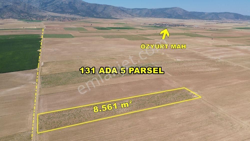 Kazımkarabekir Özyurt Köyü Satılık Tarla Karaman / Kazımkarabekir / Özyurt Da 8.561 M² Müstakil Tapulu