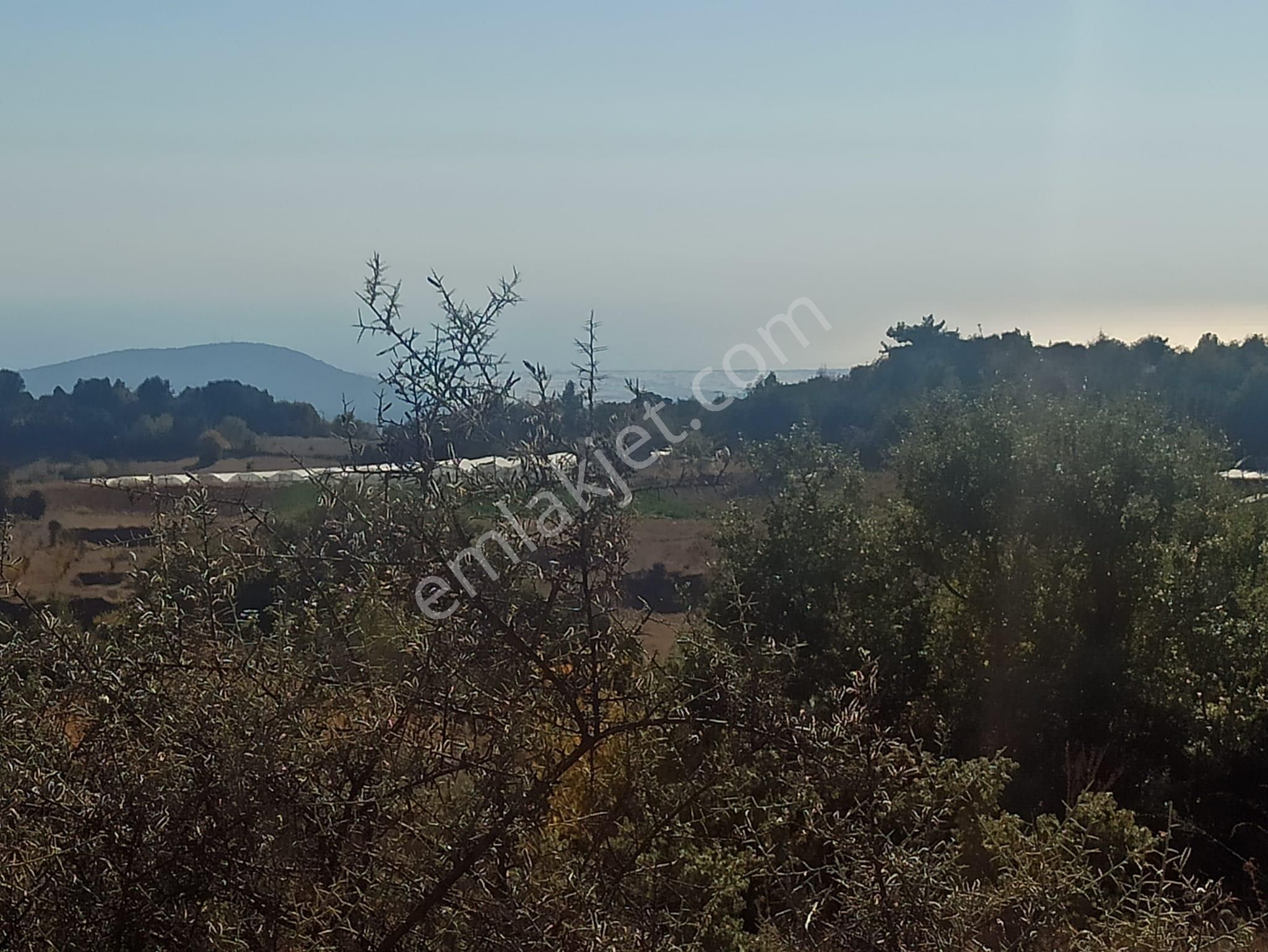 Antalya Kumluca Satılık Tarla Antalya Kumluca Güzören Yatırımlık Deniz Manzaralı Tarla