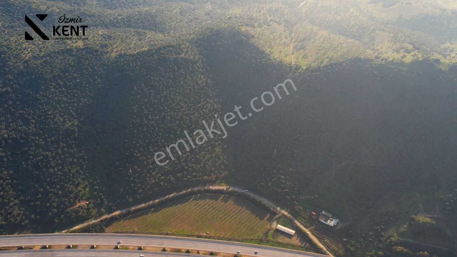 Selçuk Belevi Satılık Zeytinlik Selçuk Belevi'nde Satılık 108343 M2 Zeytinlik