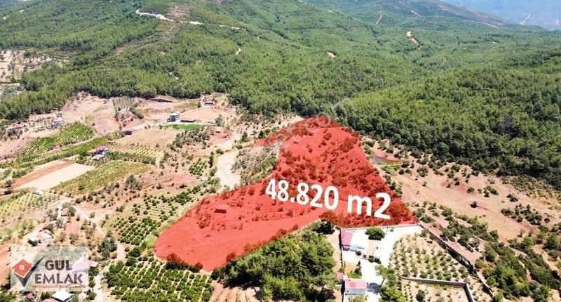 Seferihisar Orhanlı Satılık Tarla Satılık 49 Dönüm Arsa Kavakdere Ceviz Altında