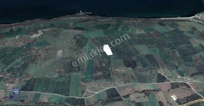 Mudanya,yalıçiftliklte 1/3 Hisseye Denk 1400 M2 Satılık Tarla - Görsel 2