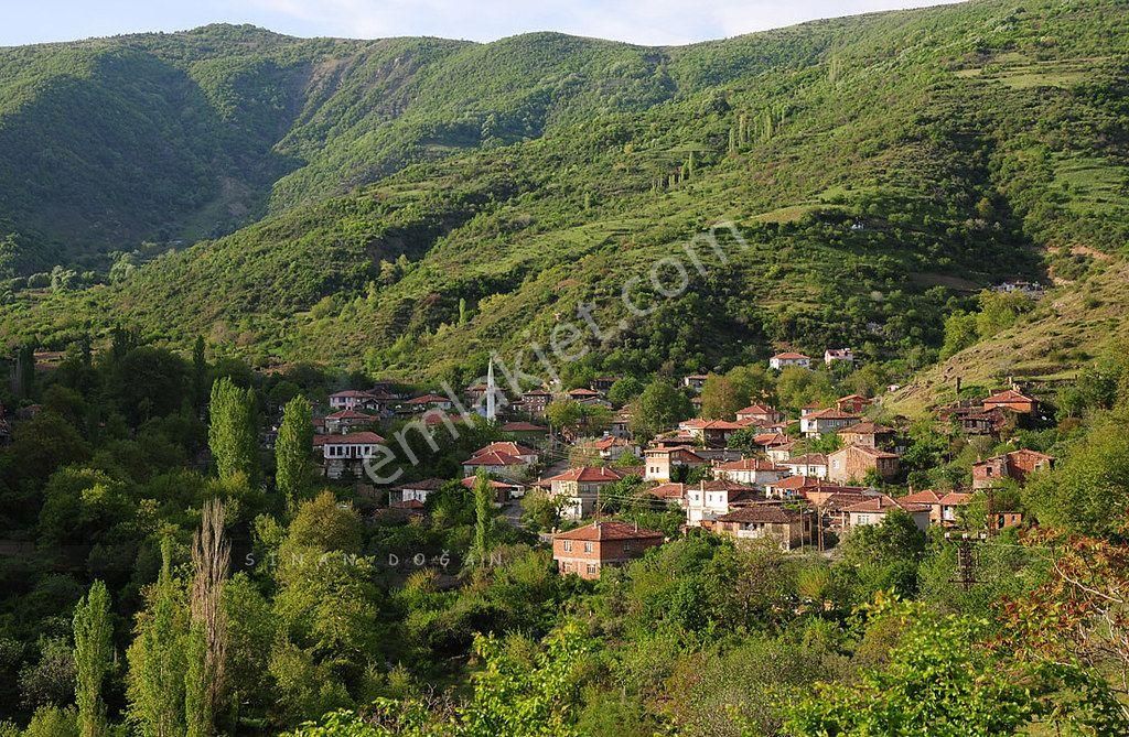 Şarköy Uçmakdere Satılık Bağ & Bahçe Uçmakdere Kirazlık Mevkii Satılık Bağ Yerleri