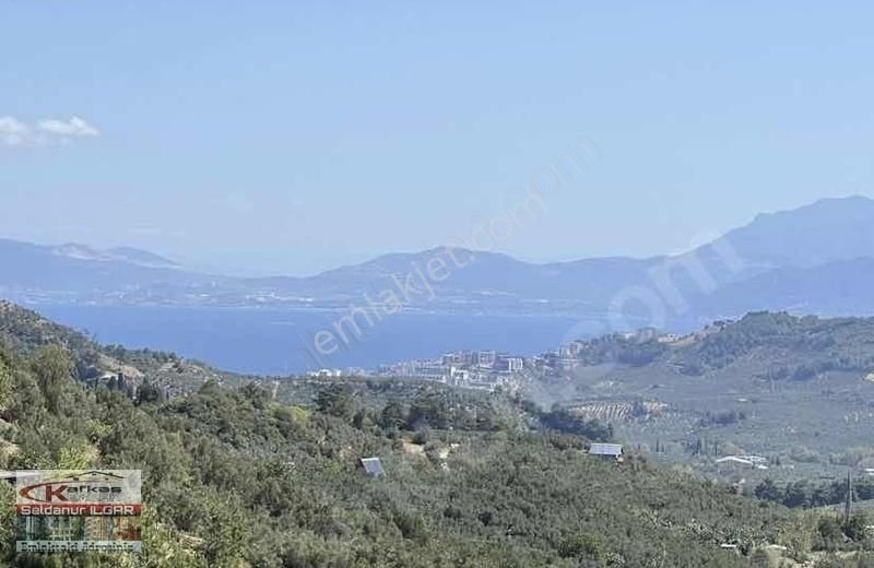 Mudanya Çepni Satılık Zeytinlik Kafkas'tan Mudanya Çepni'de Yol Sorunu Olmayan Zeytinlik