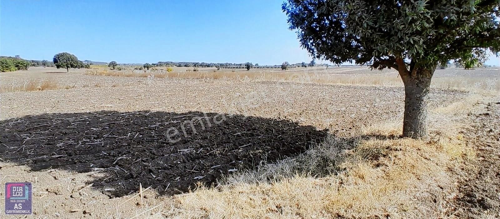 Nilüfer Çatalağıl Satılık Tarla Bursa Nilüfer Çatalağıl Köyünde Satılık 1900m2 Yatırımlık Tarla