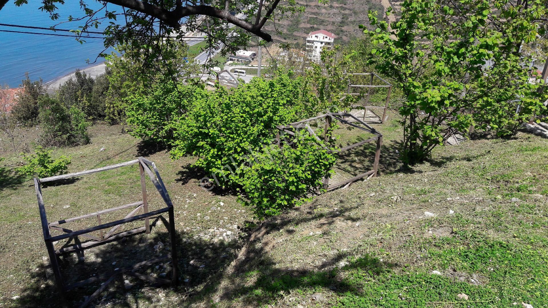 Yazlık Turistik Arazi - Görsel 14