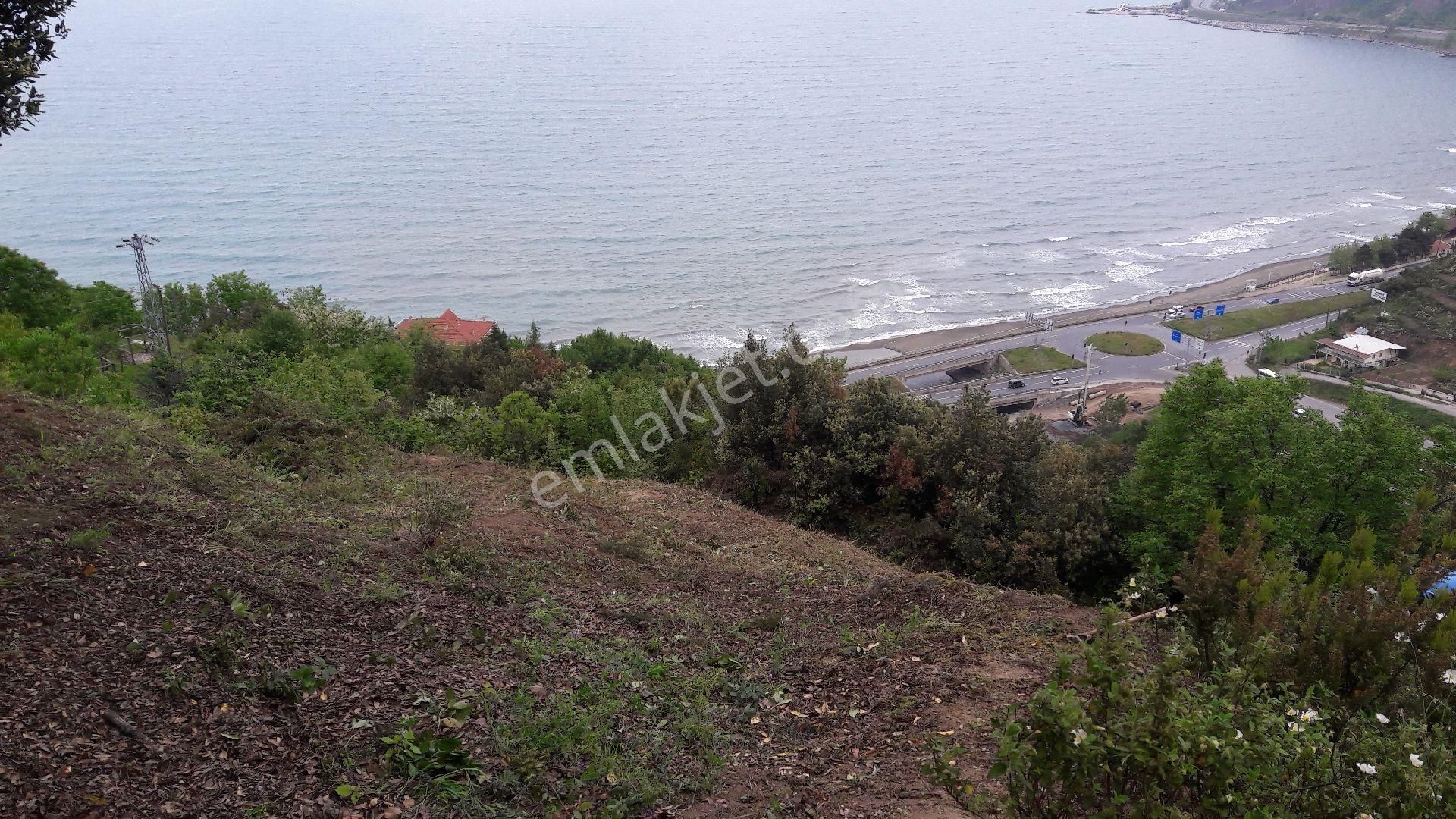 Yazlık Turistik Arazi - Görsel 16