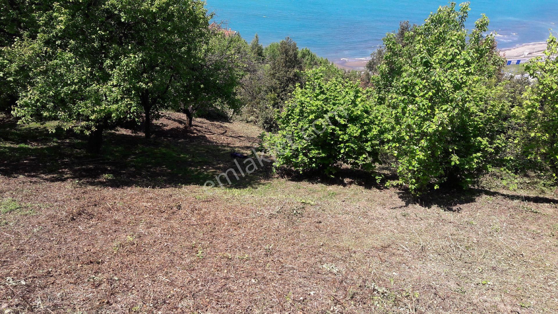 Yazlık Turistik Arazi - Görsel 11