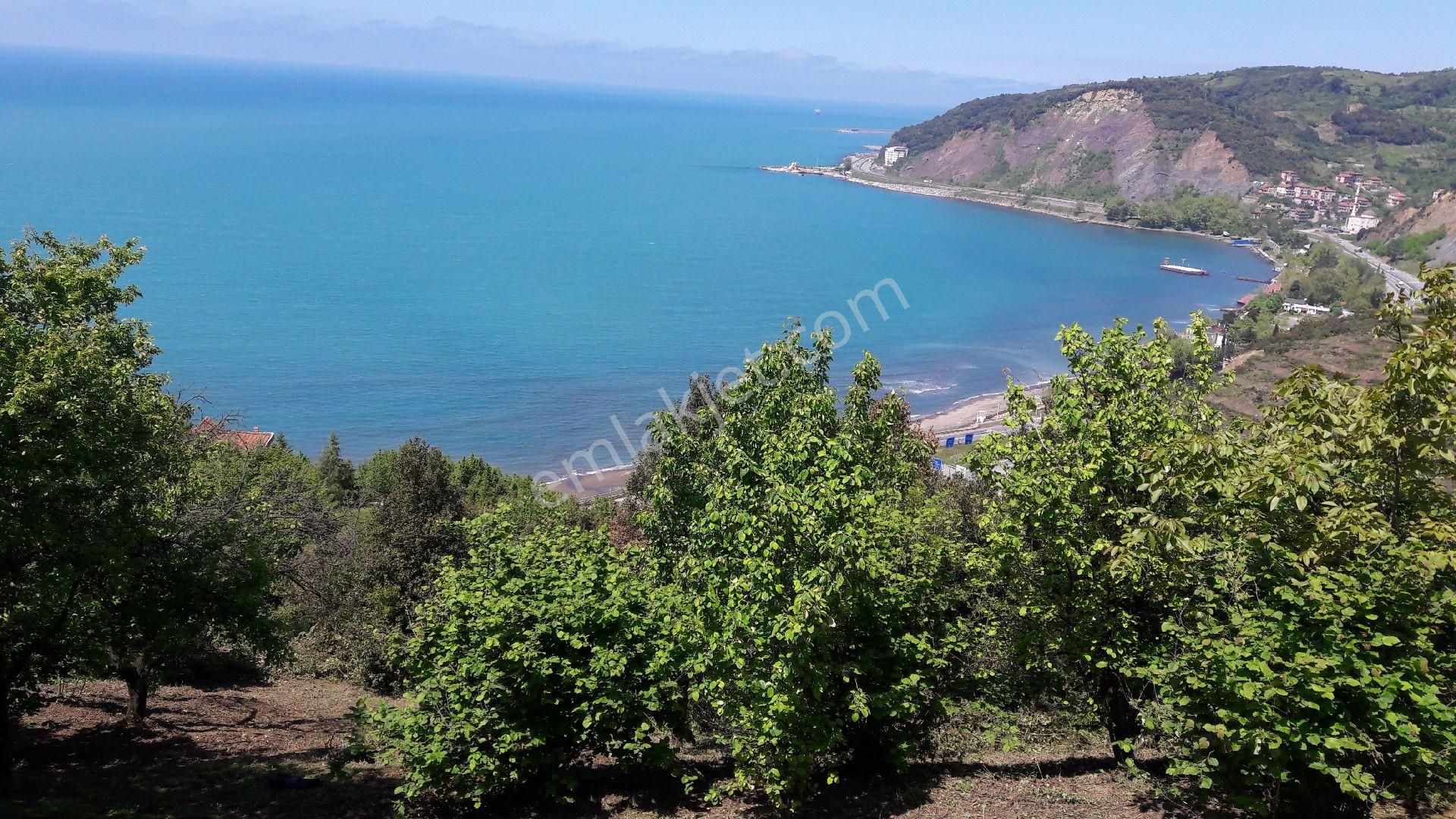 Yazlık Turistik Arazi - Görsel 10