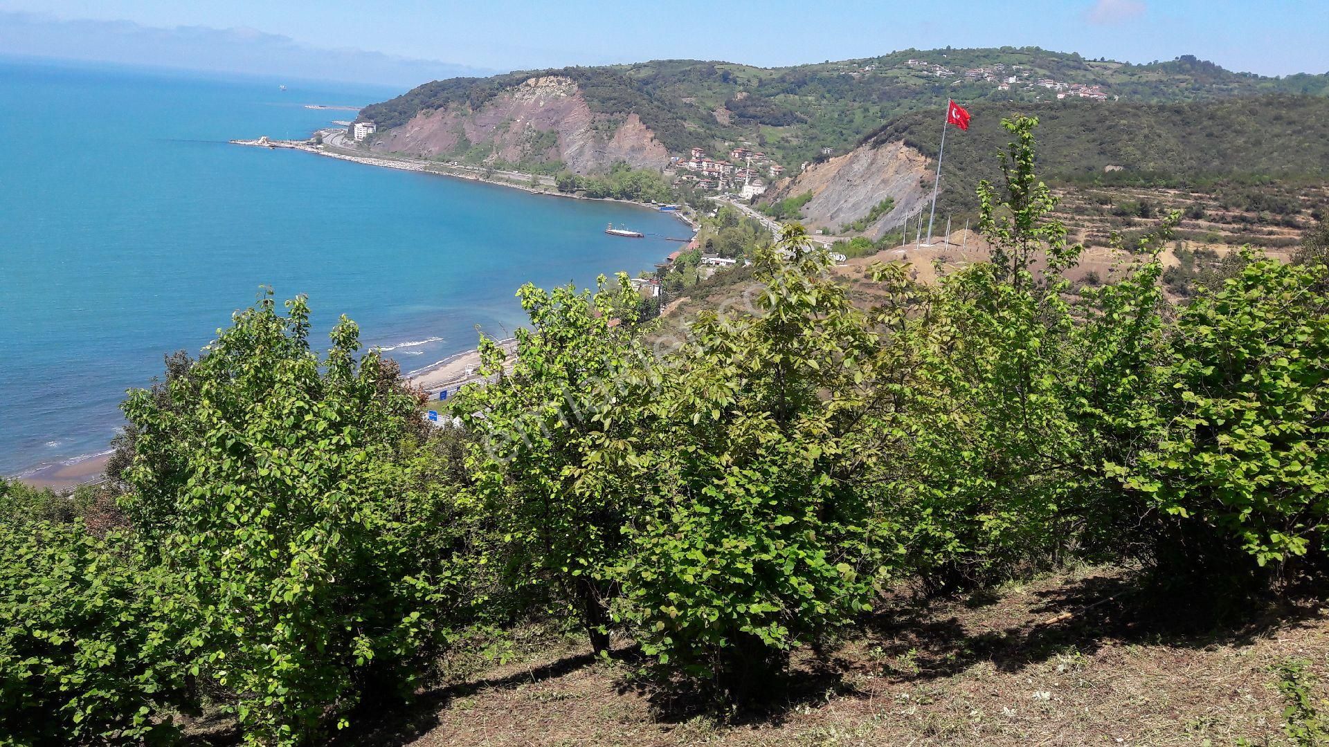 Yazlık Turistik Arazi - Görsel 12