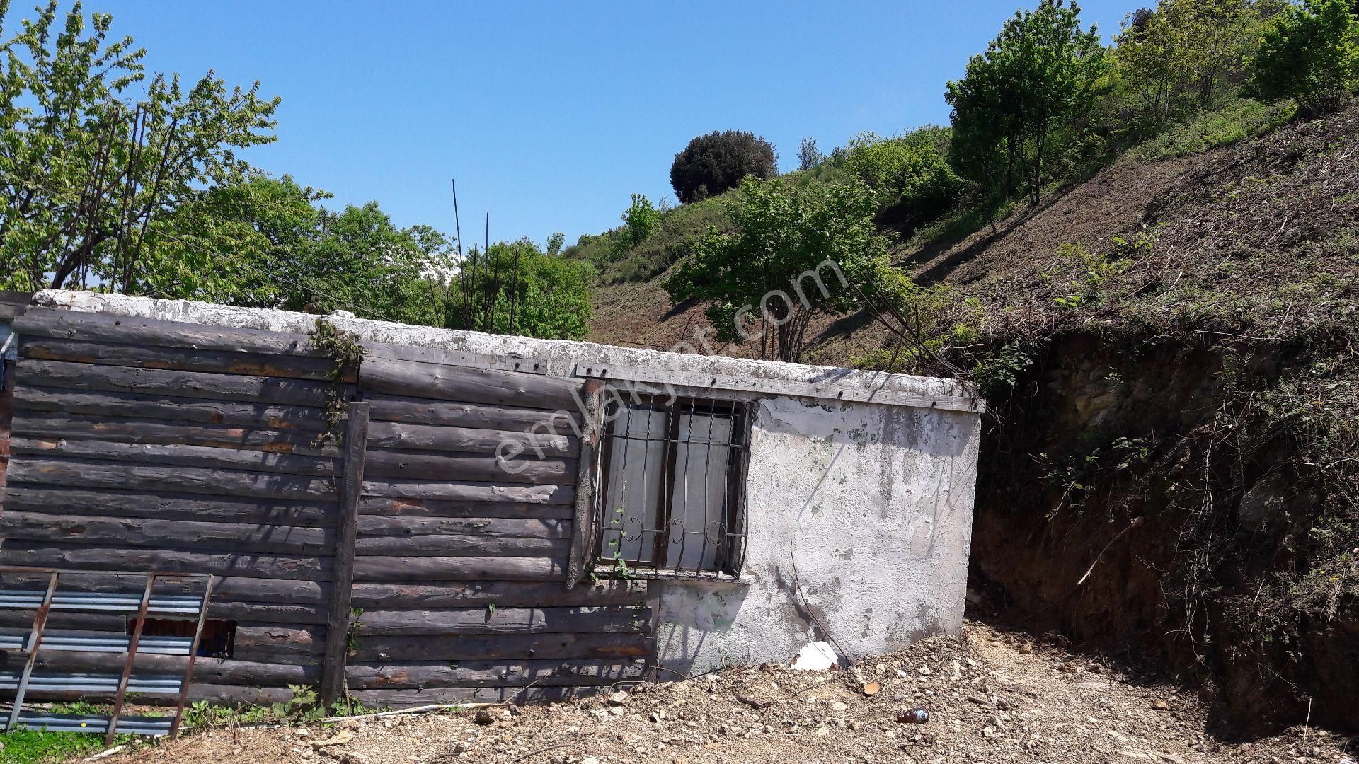 Yazlık Turistik Arazi - Görsel 3