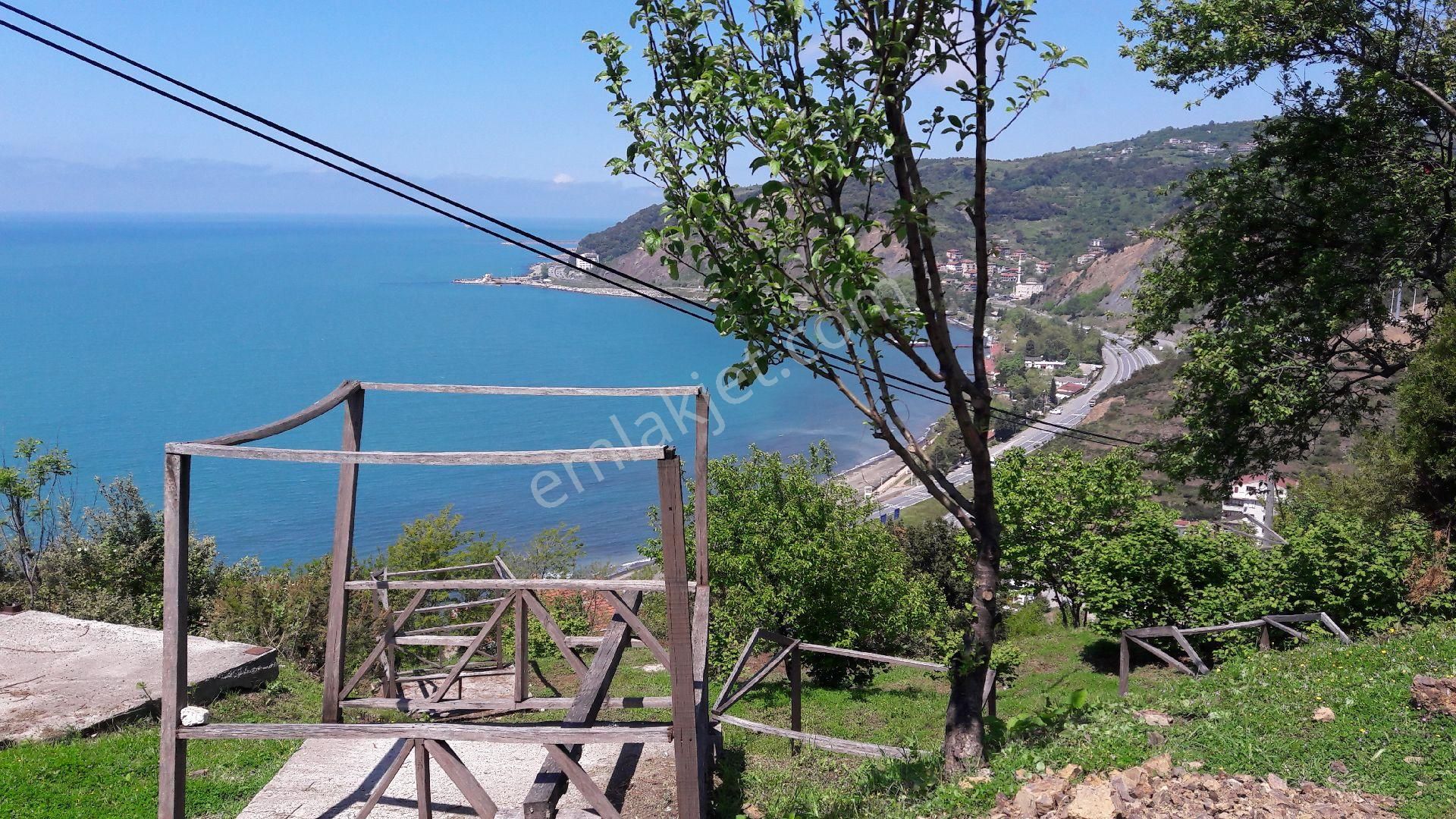 Yazlık Turistik Arazi - Görsel 6