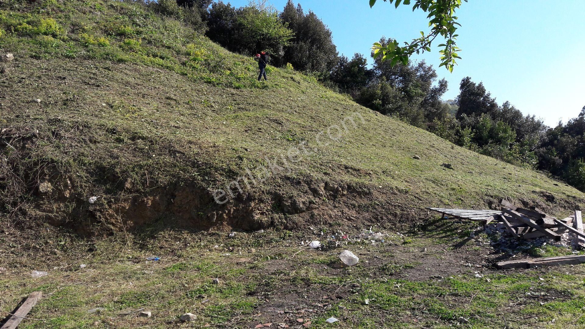 Yazlık Turistik Arazi - Görsel 25