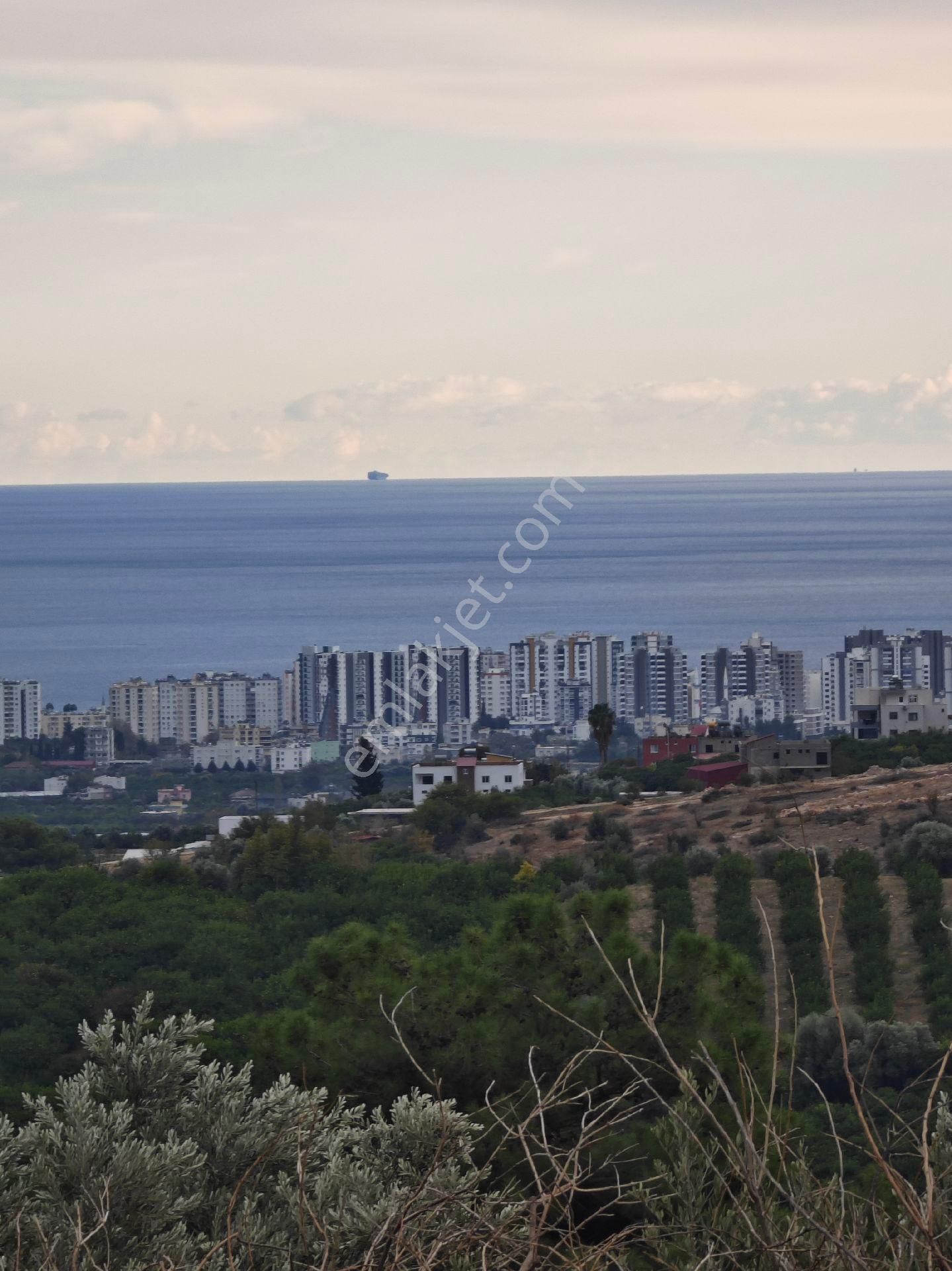 Mezitli Doğlu Satılık Bağ & Bahçe Mezitli Doğluda Fırsat 8150 M2