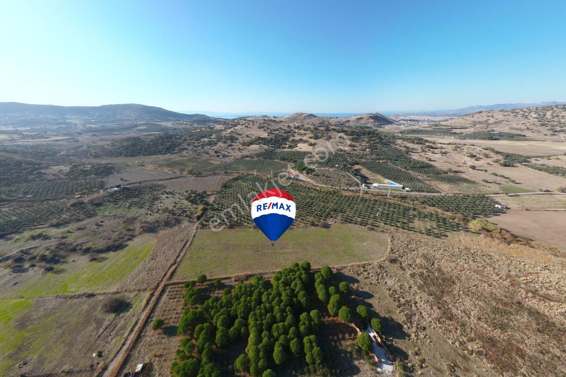 Dikili Salimbey Satılık Tarla Dikili Salimbeyde Muhteşem Bir Konumda 10.485 M2 Satılık Tarla