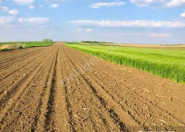 Acil Satılık Selçuk Belevi Otoban Kavşağı Yakını 8862 M2 Yatırımlık Tek Tapu Tarla