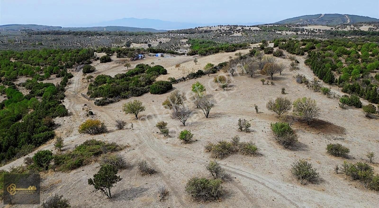 Bergama Koyuneli Satılık Tarla Bergama Koyuneli Mah.tarım Ve Güneş Paneli Yapımına Uygun Tarla