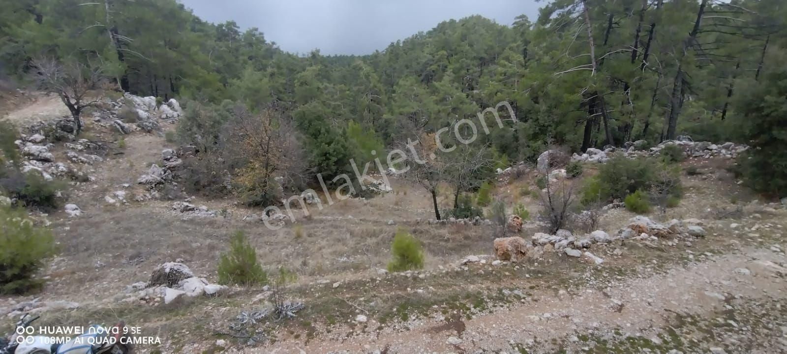 Menteşe Kıran Satılık Tarla Selda Kozalı'dan Muğla Kıranda Satılık Tarla