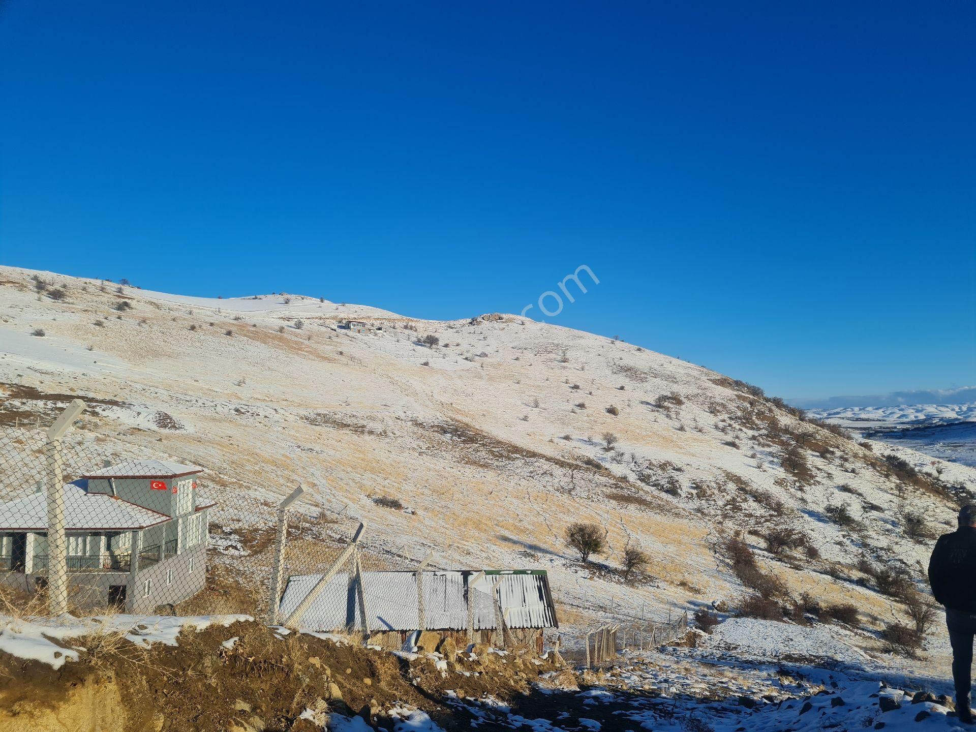 Altındağ Karapürçek Satılık Bağ & Bahçe Karapürçekte 220 Metre Tapulu Manzaralı Yatırımlık Bahçelik Süper Konumda Arsa