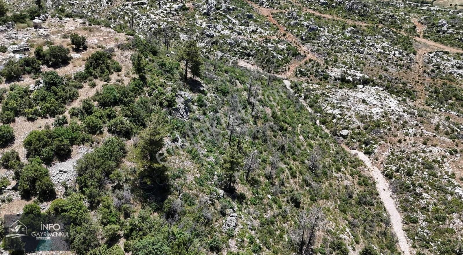 İnfo Gayrimenkul Yaylalan Mah Satılık Tarla 11.770 M2 Tek Tapu - Görsel 7