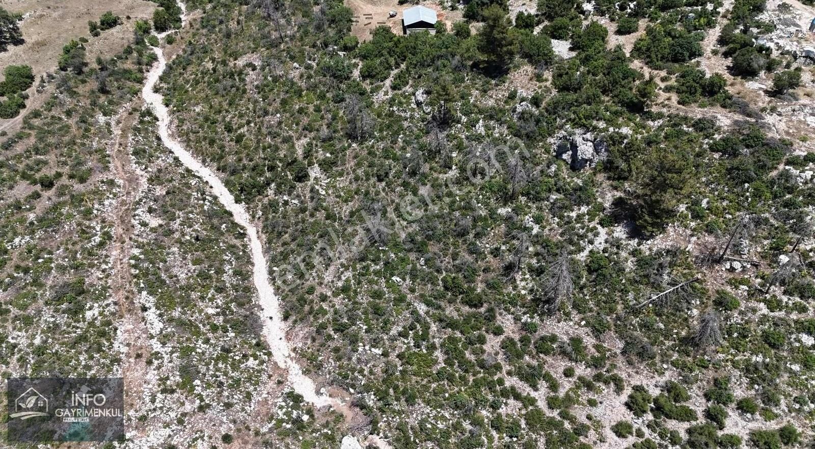 İnfo Gayrimenkul Yaylalan Mah Satılık Tarla 11.770 M2 Tek Tapu - Görsel 2