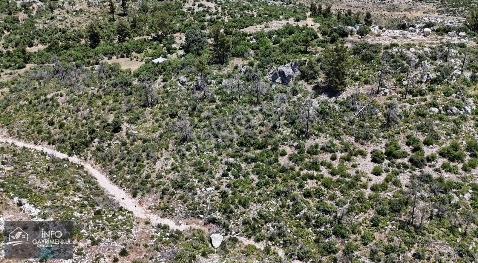 İnfo Gayrimenkul Yaylalan Mah Satılık Tarla 11.770 M2 Tek Tapu - Görsel 3