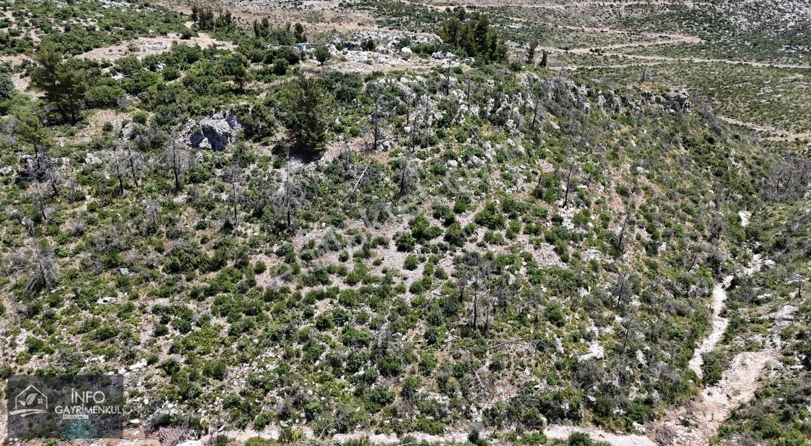 İnfo Gayrimenkul Yaylalan Mah Satılık Tarla 11.770 M2 Tek Tapu - Görsel 5