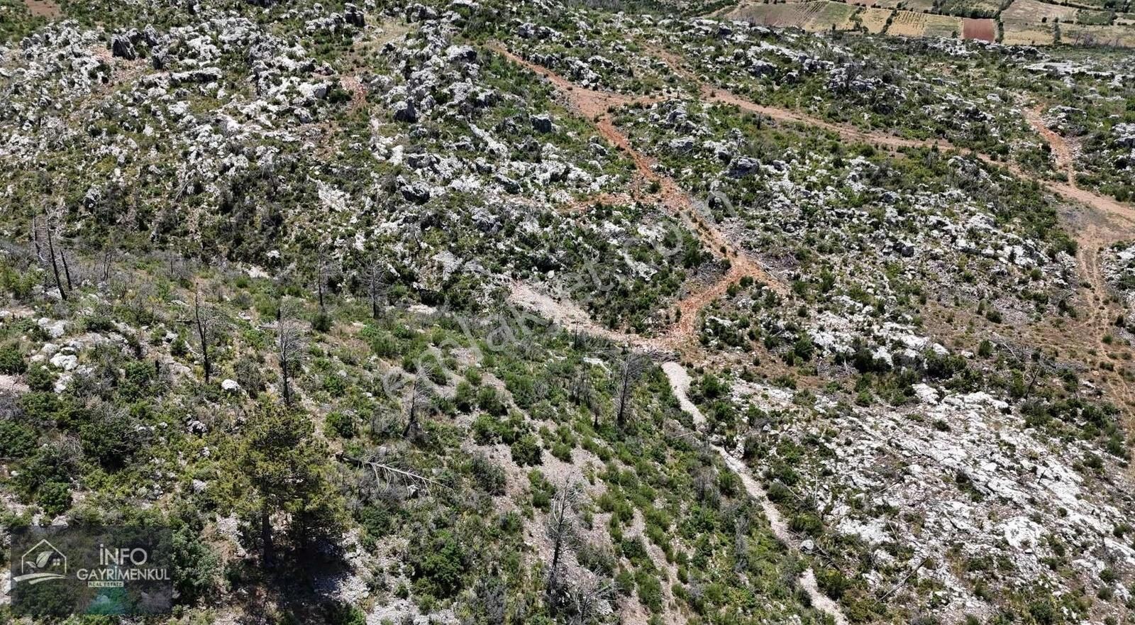 İnfo Gayrimenkul Yaylalan Mah Satılık Tarla 11.770 M2 Tek Tapu - Görsel 6