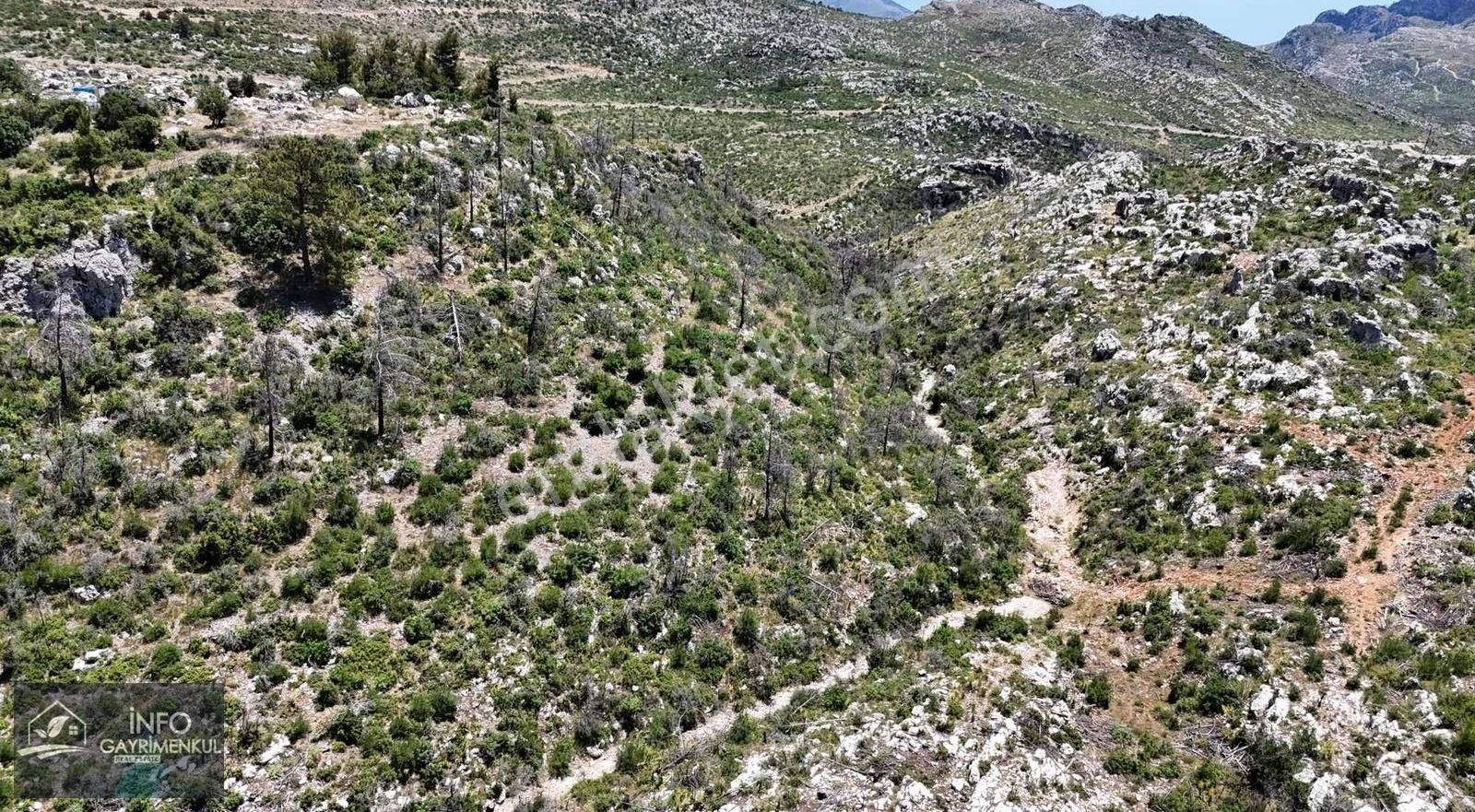 İnfo Gayrimenkul Yaylalan Mah Satılık Tarla 11.770 M2 Tek Tapu - Görsel 4