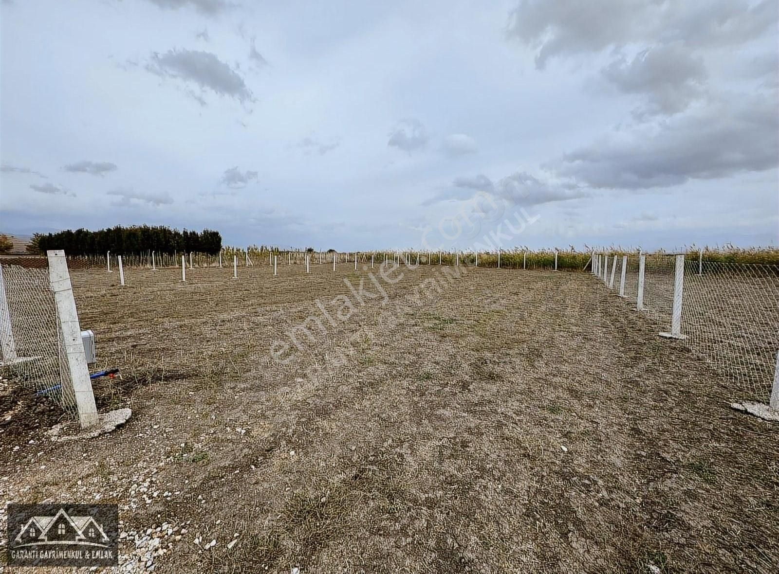 Torbalı Arslanlar Satılık Tarla Torbalı Aslanlar'da 852 M2 Elektrik Su Yolu Vardır