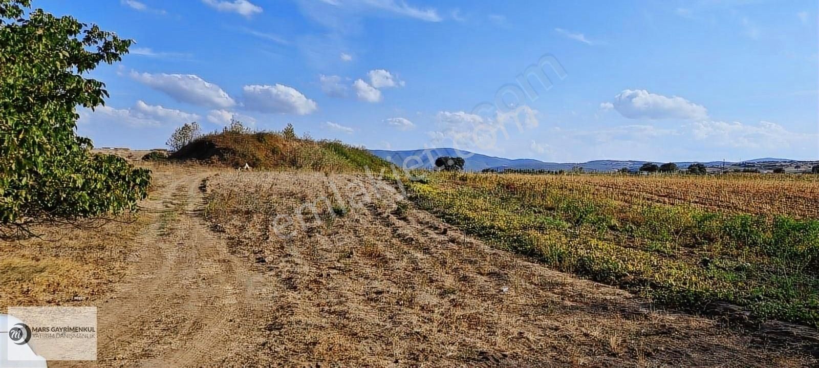 Karesi Kocaavşar Satılık Tarla Karesi Kocaavşar Mesire Alanı Yanı Yolu Olan Hobi Bahçesi